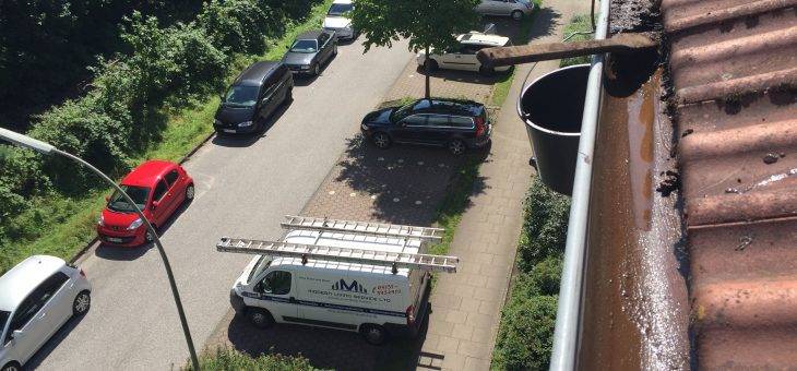 Dachrinnenreinigung in Seiltechnik vom Dachausstieg